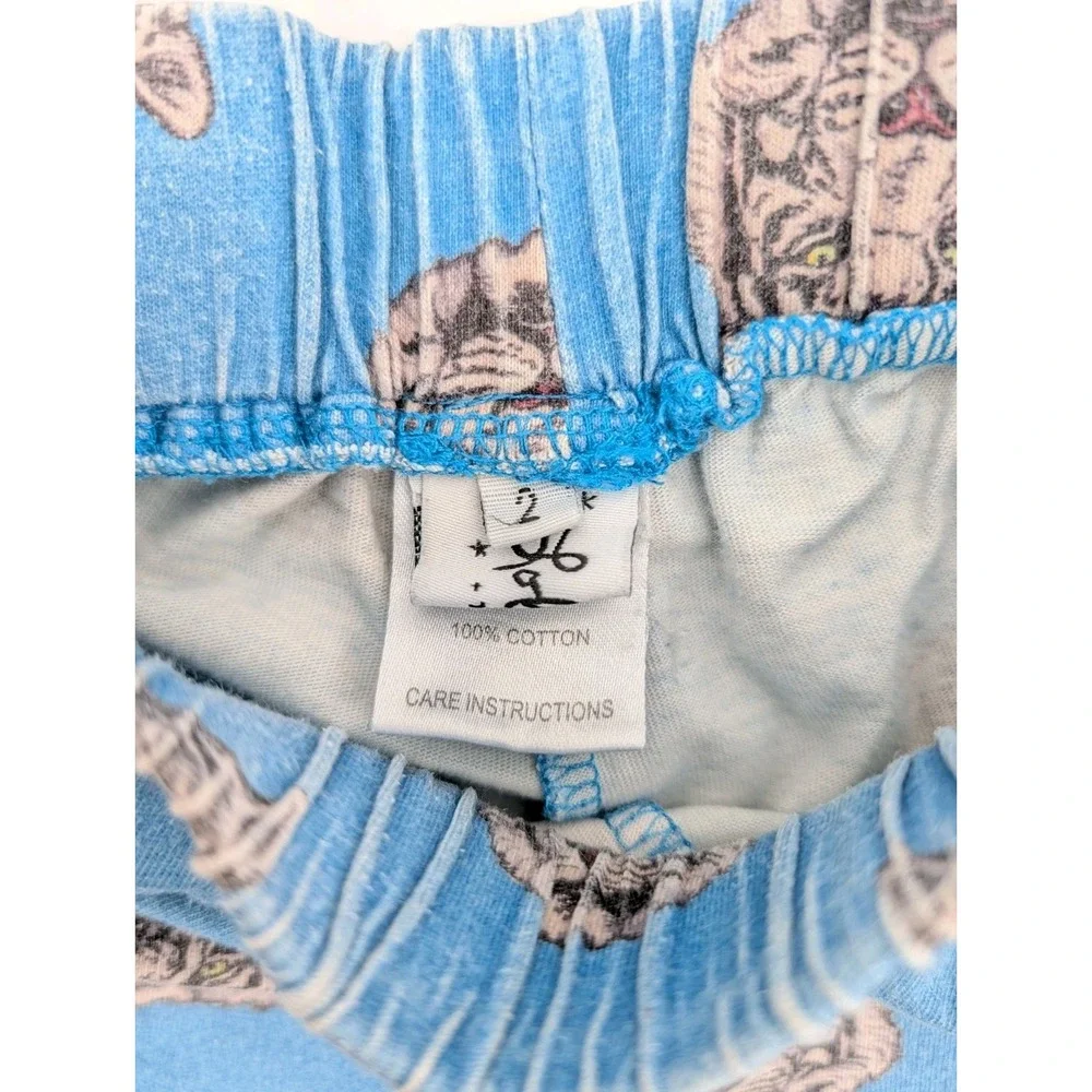 Lola and the Boys T Shirt Short Set Boys Size 2t Blue Tiger Outfit